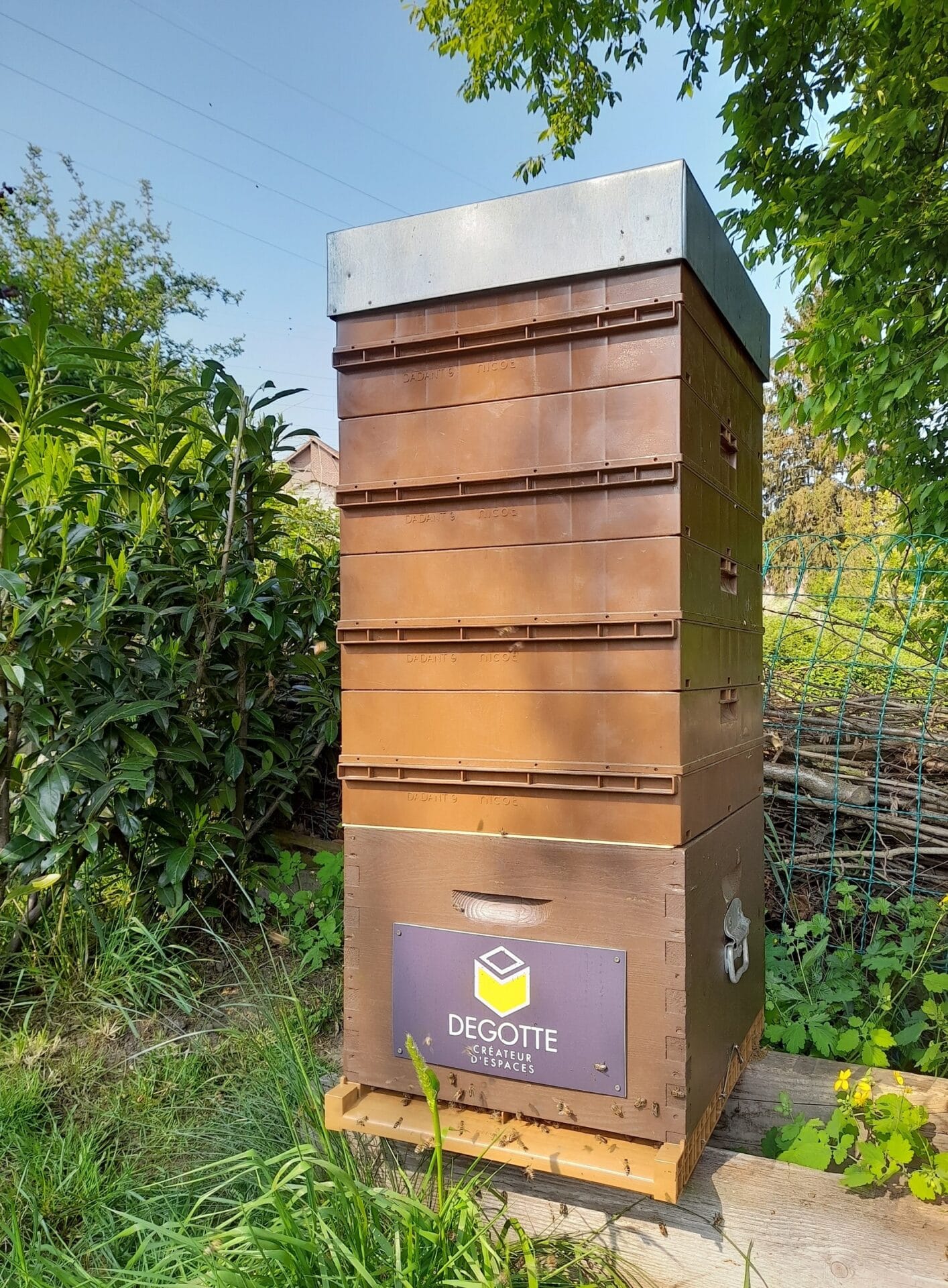 Ruche-Degotte Ruche-Degotte